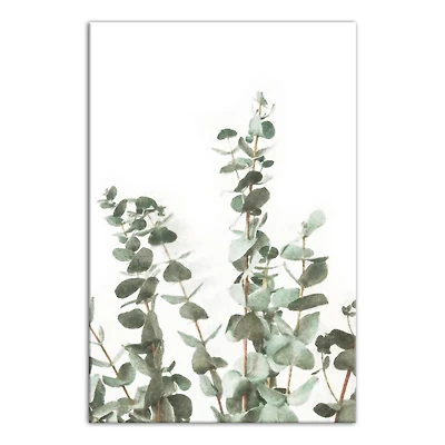 Watercolor Eucalyptus 20" x 30" Canvas Wall Art