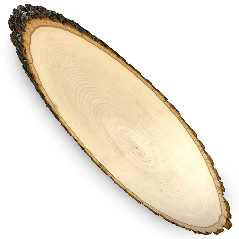 Wilson 3ft. Basswood Elongated Round Slice, 2ct.