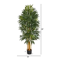 5ft. Potted Phoenix Palm Tree