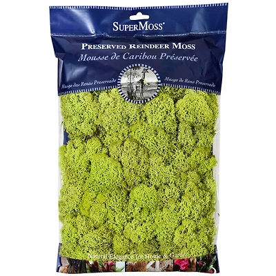 SuperMoss® Preserved Reindeer Moss