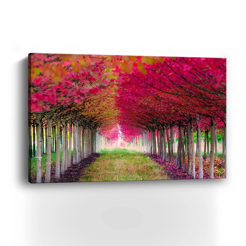 Forest Magic Canvas Giclee