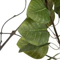 6ft. Potted Green Smoke Tree