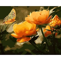 Winnie's Picks Peach Butterfly in the Summer Adult Paint by Numbers Kit