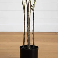 5ft. Artificial Heart Shaped Ficus Leaf Tree