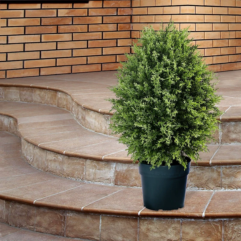26" Cypress Tree