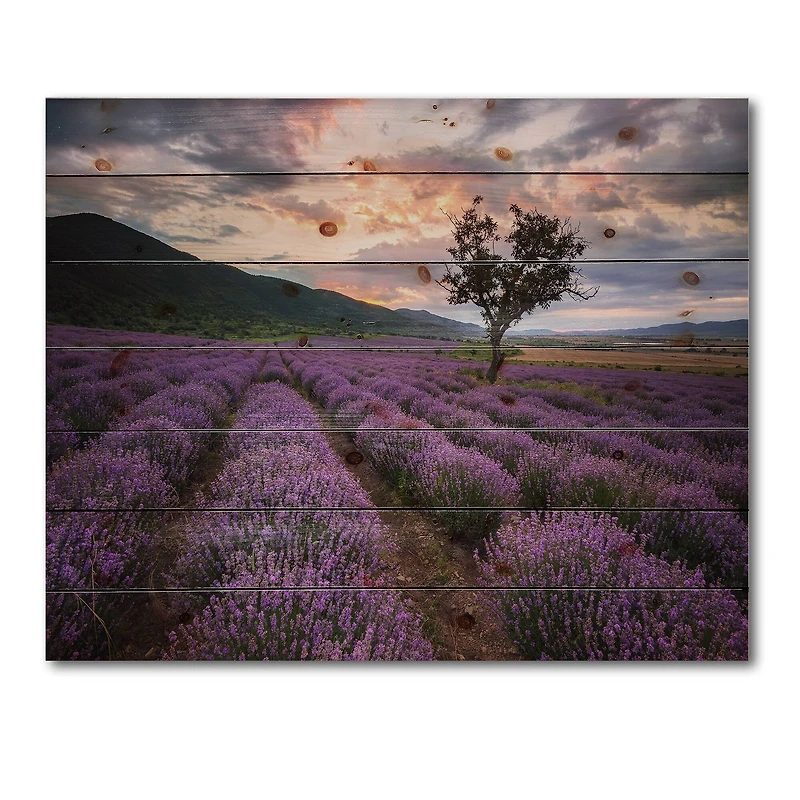 Designart - Lavender Field At Dawn III - Farmhouse Print on Natural Pine Wood