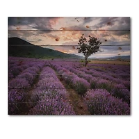 Designart - Lavender Field At Dawn III - Farmhouse Print on Natural Pine Wood