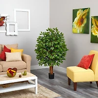 4ft. Potted Super Deluxe Ficus Tree