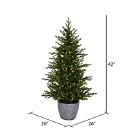 3.5ft. Pre-Lit Belgrade Pine Artificial Christmas Tree, Clear Dura-Lit® LED Lights