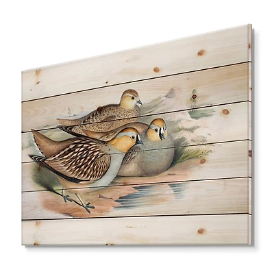 Designart - Vintage Birds In The Wild III