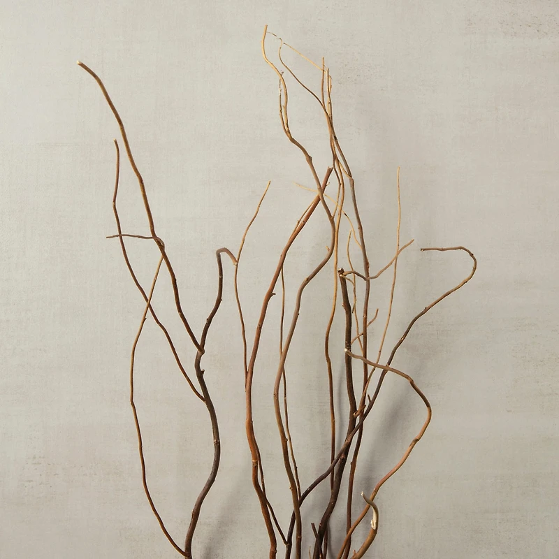 Natural Curly Willow by Ashland®
