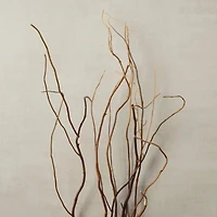 Natural Curly Willow by Ashland®
