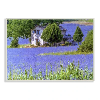 Stupell Industries Lavender Field House Landscape Wall Plaque