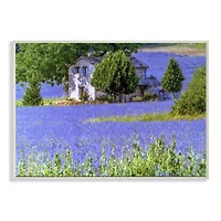 Stupell Industries Lavender Field House Landscape Wall Plaque