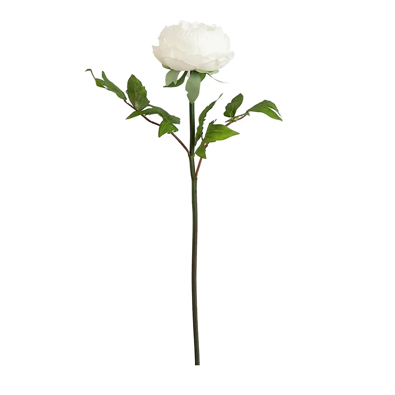 20" White Peony Flower Stems, 3ct.