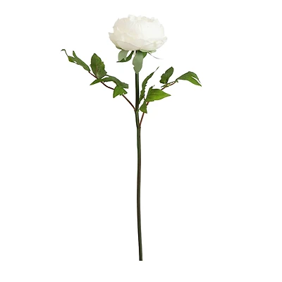 20" White Peony Flower Stems, 3ct.