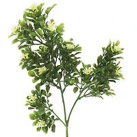 25" White Berry with Foliage Stem by Ashland®