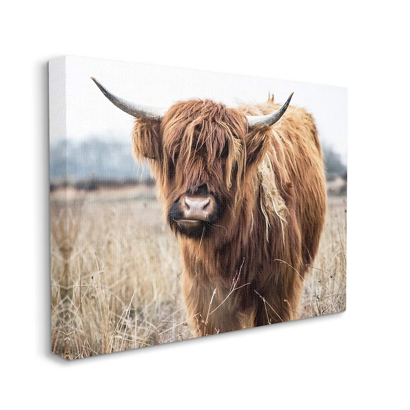 Stupell Industries Grazing Longhorn Cattle Farmland Animal Portrait Canvas Wall Art