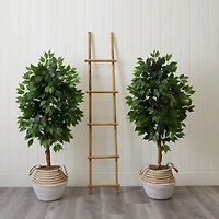 4.5ft. Artificial Ficus Tree with Double Trunk in Handmade Cotton & Jute Basket Set