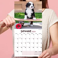 TF Publishing 2024 Puppies Mini Calendar
