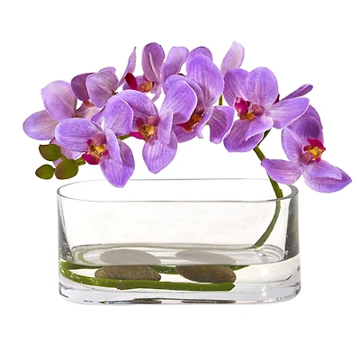 7" Moth Orchid Arrangement in Glass Vase