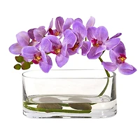 7" Moth Orchid Arrangement in Glass Vase