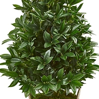 3.5ft. UV Resistant Bay Leaf Cone Topiary Tree in Farmhouse Planter