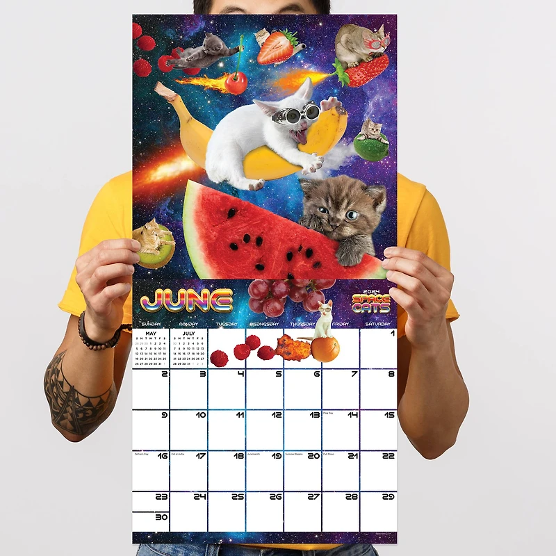 TF Publishing 2024 Space Cats Wall Calendar