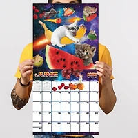 TF Publishing 2024 Space Cats Wall Calendar