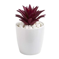10" Mixed Succulent Plants in White Vases Set