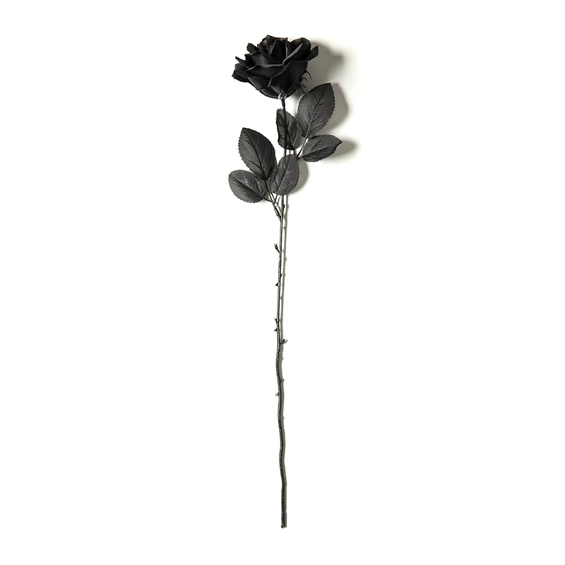 12 Pack: Black Open Rose Stem by Ashland™