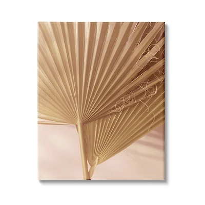 Stupell Industries Two Palm Fronds Sun Bleached Photography Tropical Plants Canvas Wall Art