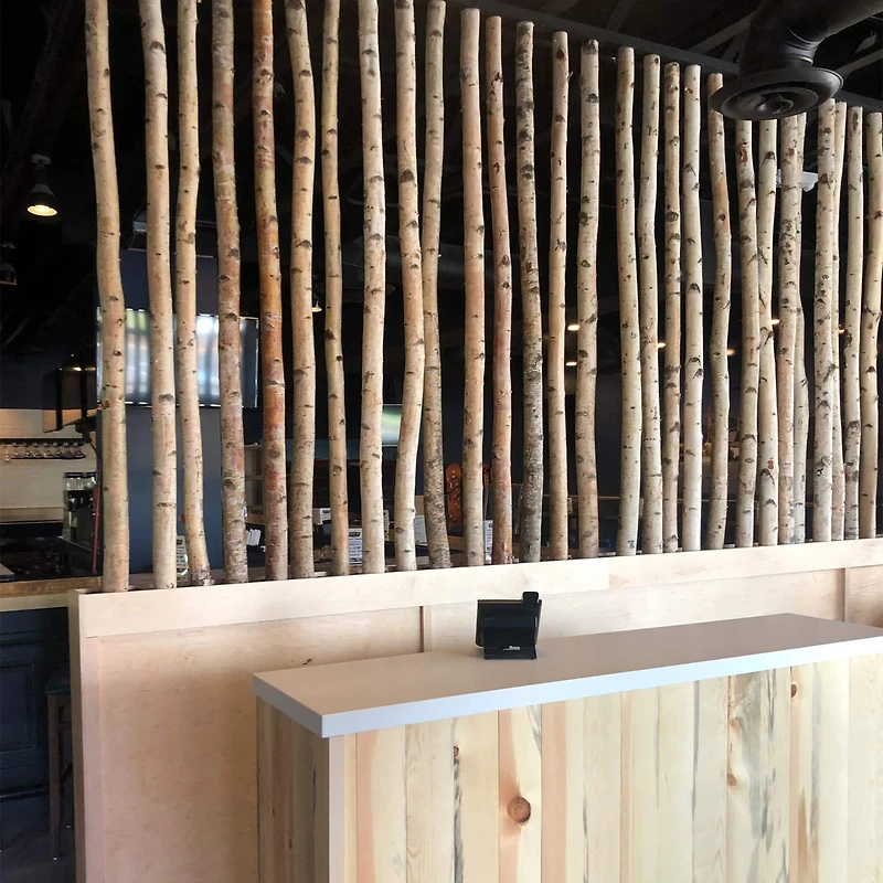 Wilson® Enterprises White Birch Poles