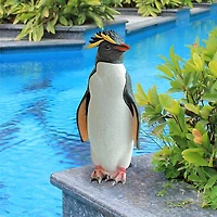Design Toscano 14" Rock Hopper Penguin Statue