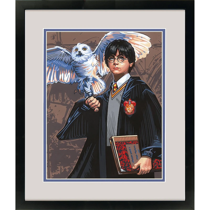 PaintWorks™ Harry & Hedwig Paint by Number Kit
