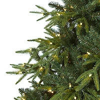 7.5ft. Pre-Lit Colorado Mountain Fir Artificial Christmas Tree, Clear LED Lights
