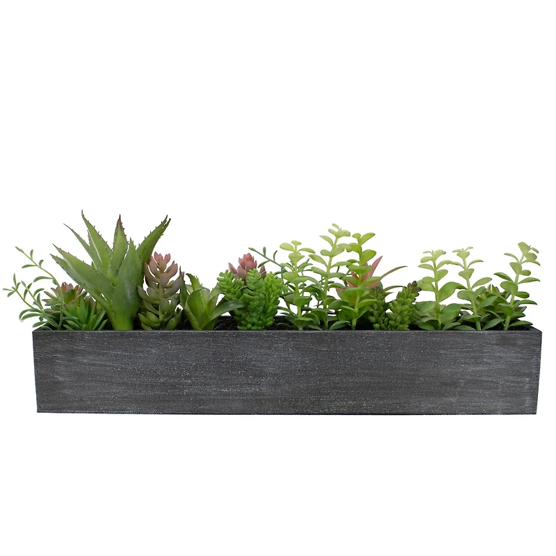 23" Mixed Succulent Plants in Rectangular Planter