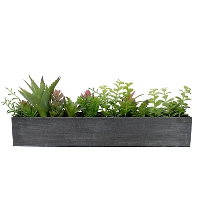 23" Mixed Succulent Plants in Rectangular Planter