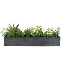 23" Mixed Succulent Plants in Rectangular Planter