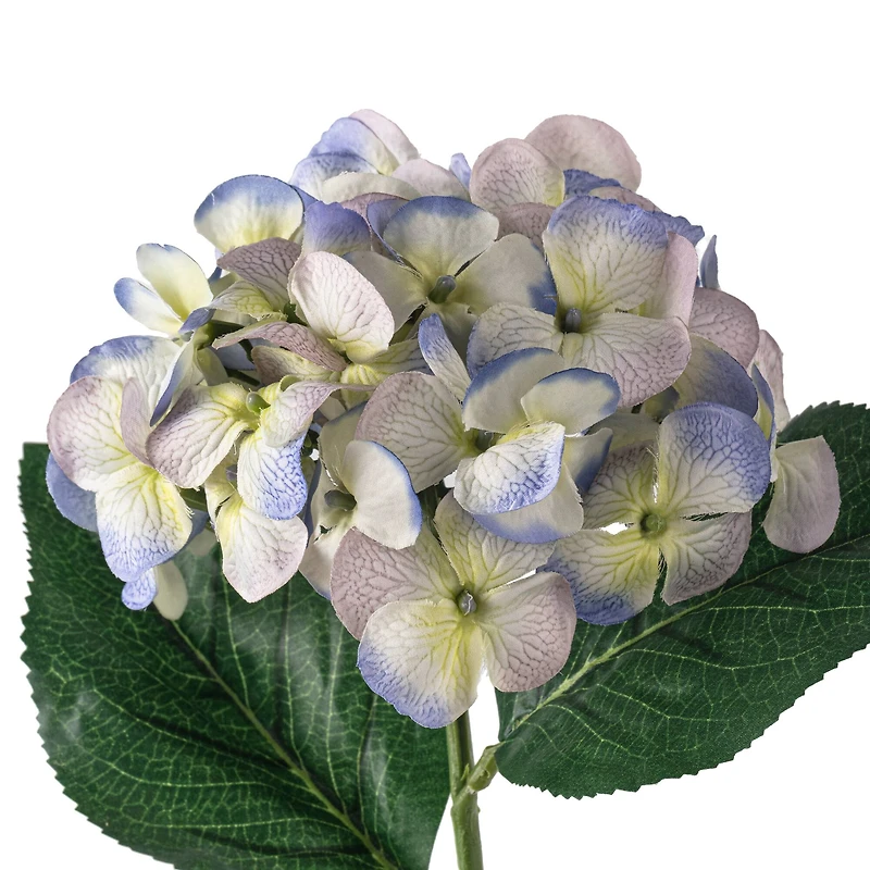 12 Pack: Indigo & Green Hydrangea Stem by Ashland®