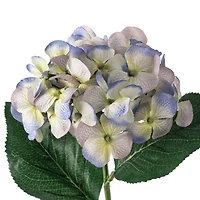 12 Pack: Indigo & Green Hydrangea Stem by Ashland®