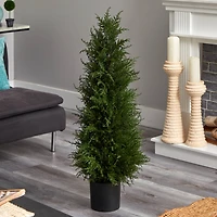 3.5ft. Potted Cedar Tree
