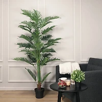 6.25ft. Potted Areca Palm Tree