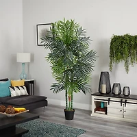 7.5ft. Potted Areca Palm Tree
