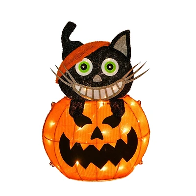 23'' Pre-Lit Pumpkin and Black Cat Halloween Décor