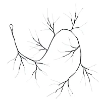 6.5ft. Pre-Lit Artificial Halloween Black Twig Garland with 48 Purple LED Lights