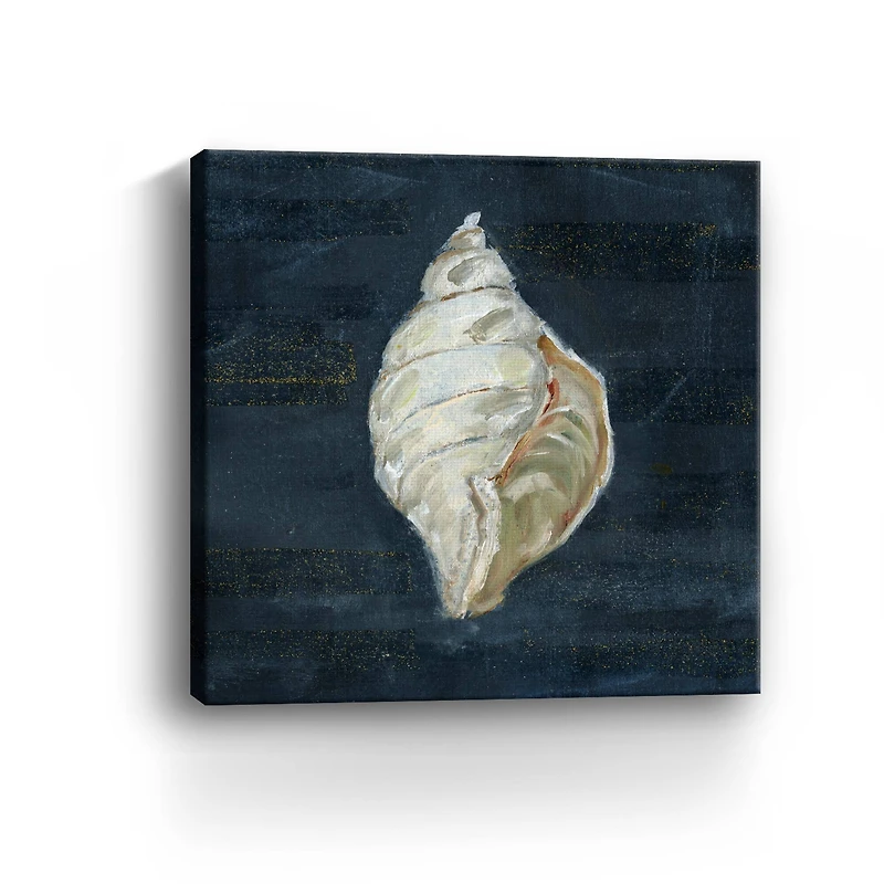 Night Shell II Canvas Giclee