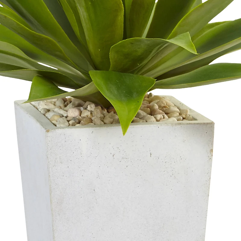 2ft. Agave In White Planter