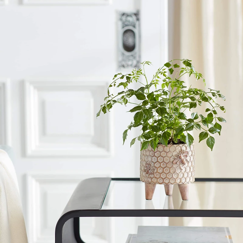 Decorative Honeycomb Pot Set with Legs