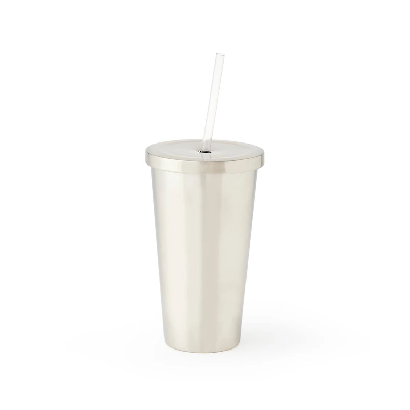 19oz. Stainless Steel Tumbler with Straw by Celebrate It™